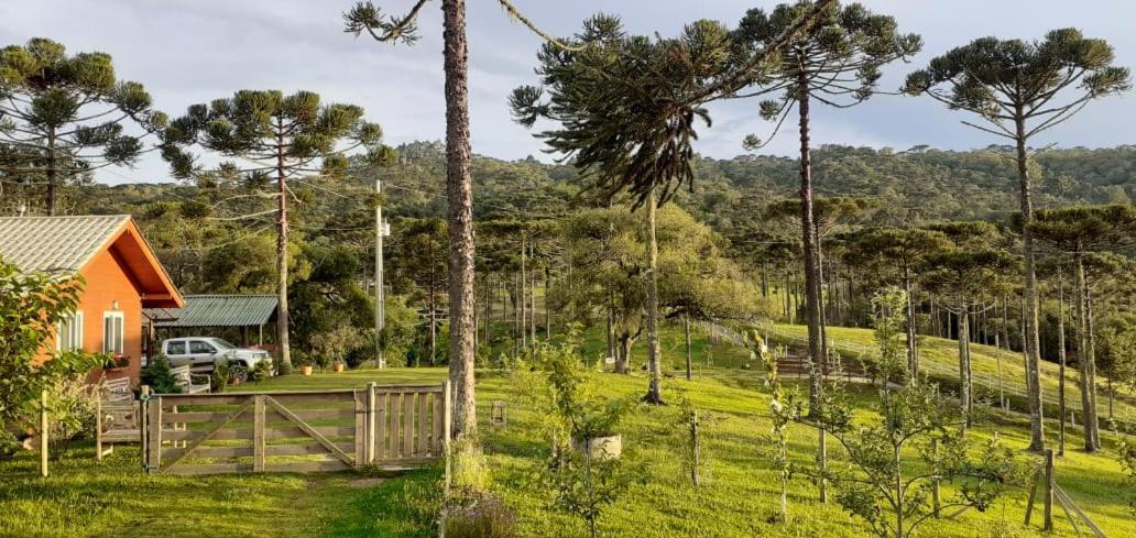 Chale Bienz - Hospedagem Rural Vila Urubici Exterior foto